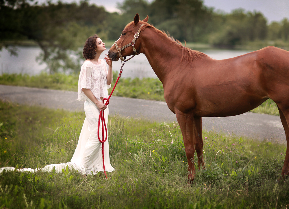 Horse photography workshop